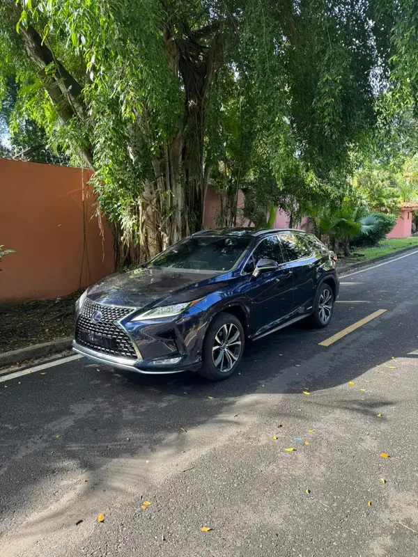 2020 Lexus RX 450h