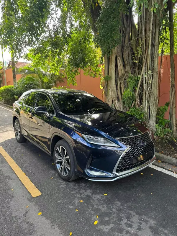 2020 Lexus RX 450h