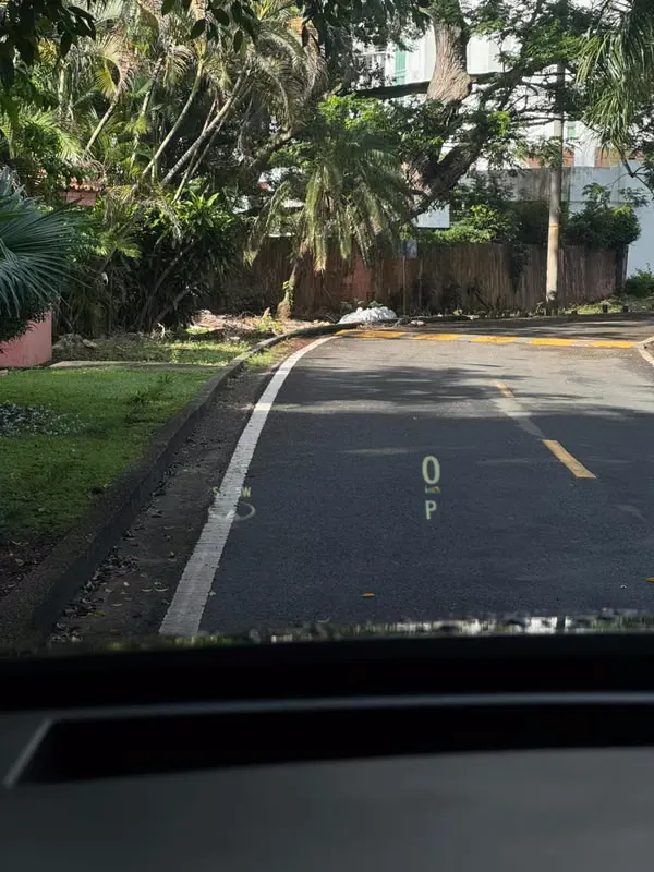 2020 Lexus RX 450h