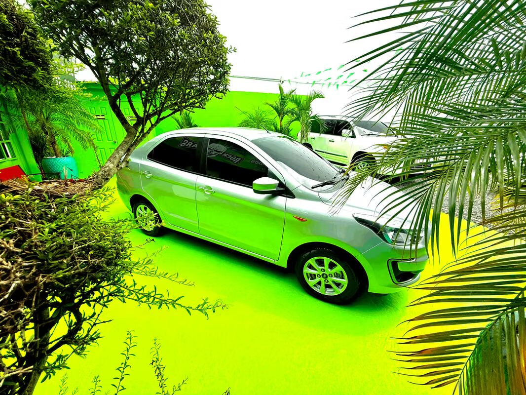 2019 Ford Figo